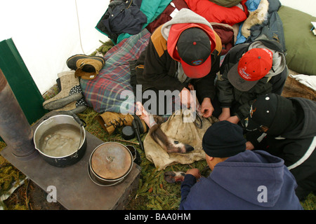 Un Vuntut Gwitchin prima nazione elder mostra gli adolescenti come tagliare un caribou gamba in un campo nei pressi della vecchia Crow, Yukon Territory, Canada. Foto Stock