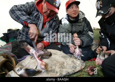 Un Vuntut Gwitchin prima nazione elder mostra gli adolescenti come tagliare un caribou gamba in un campo nei pressi della vecchia Crow, Yukon Territory, Canada. Foto Stock