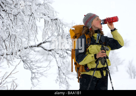 A lunga distanza sciatore in paesaggi innevati della Svezia Foto Stock
