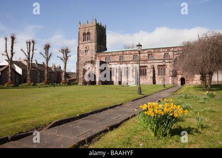 Kirkby Stephen tomaia Eden Valley Cumbria Inghilterra UK del XIII secolo la chiesa parrocchiale con narcisi in primavera Foto Stock