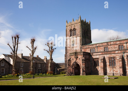 Kirkby Stephen tomaia Eden Valley Cumbria Inghilterra UK del XIII secolo la chiesa parrocchiale con narcisi in primavera Foto Stock