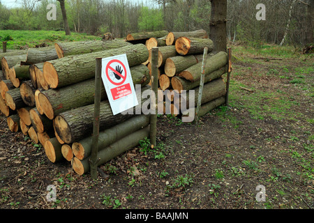 Pila di registri. Norsey legno, Billericay, Essex, Inghilterra, Regno Unito. Foto Stock