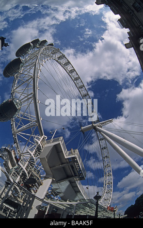 Millennium Wheel, London Eye, ultra grandangolare shot Foto Stock