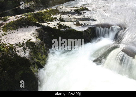 Lo spostamento acqua lattiginosa a Swallow Falls, Betws-y-Coed, Snowdonia, Galles. Foto Stock