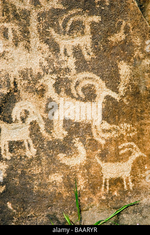 Petroglyph / Pittogramma - Columbia colline del Parco Statale di Washington Foto Stock