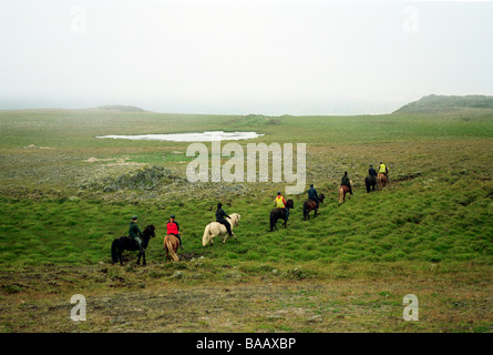 Horse Riding piloti attraverso un prato, Islanda Foto Stock
