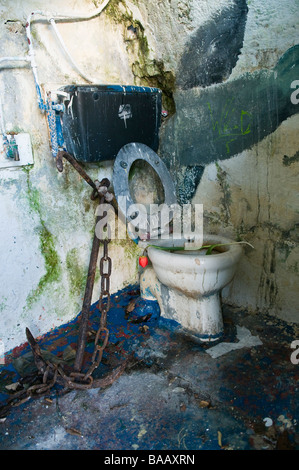 Navi ancora accanto a sporco e disgustoso wc con un tulipano posti sulla parte superiore Foto Stock