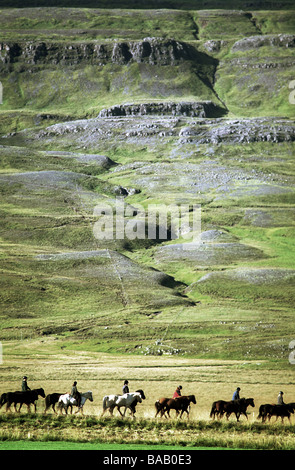 I turisti su cavalli islandesi con la montagna Maelifellshnjukur in background, Varmahlid, Islanda Foto Stock