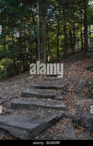 Hocking Hills in Ohio Stati Uniti verticale ad alta risoluzione Foto Stock