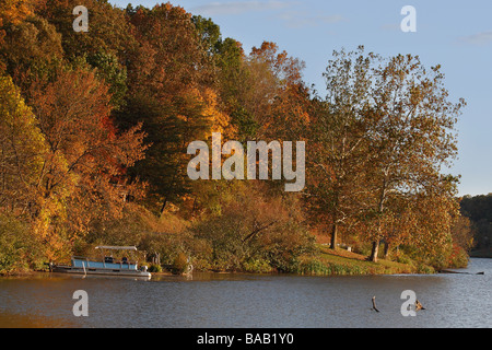 Hocking Hills con la vita del lago Logan che vive nell'Ohio USA, splendido paesaggio autunnale con foglie colorate e acqua all'orizzonte ad alta risoluzione Foto Stock