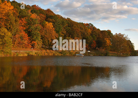 Hocking Hills con la vita del lago Logan che vive nell'Ohio USA, splendido paesaggio autunnale con foglie colorate e acqua all'orizzonte ad alta risoluzione Foto Stock