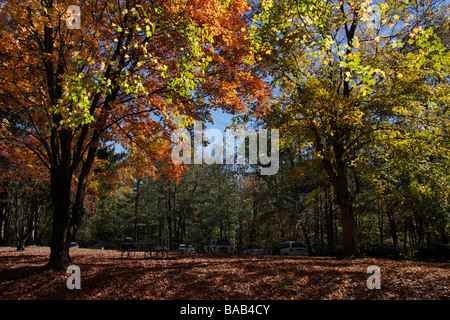 Autunno nel parco pubblico Hocking Hills in Ohio OH bellissime immagini di paesaggi foto in vendita su alamy orizzontali negli USA US ad alta risoluzione Foto Stock