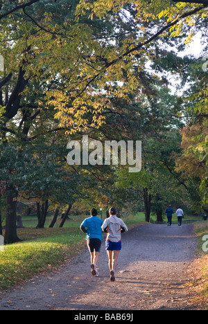 Due guide di scorrimento nel Central Park di New York City in una giornata autunnale Foto Stock