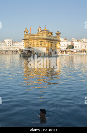 La religione sikh la balneazione nel laghetto che circonda il tempio dorato, Amritsar e India Foto Stock