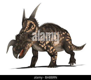 Dinosauro Einiosaurus Foto Stock