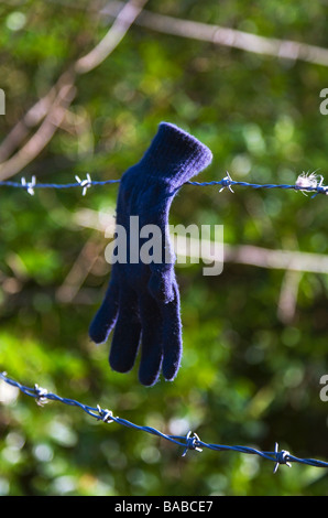 Una perdita di lana, guanti blu sulla sinistra del filo spinato. Foto Stock