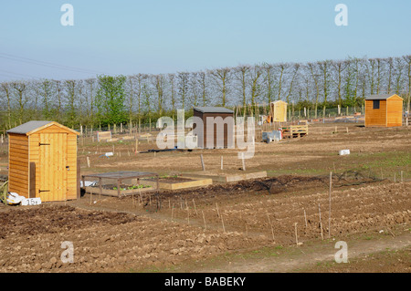 Nuove assegnazioni a Greenway frutticolo, Herstmonceux, East Sussex. Foto Stock