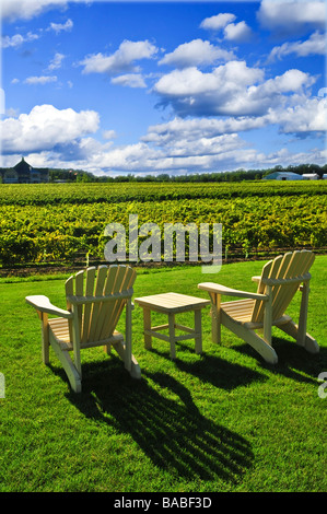 Muskoka tavolo e sedie vicino vigneto sotto il cielo blu Foto Stock