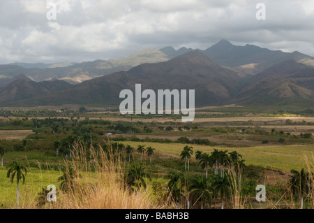 I monti e la valle con palme e i campi in una scena pastorale al di fuori di Trinidad, Cuba. Foto Stock