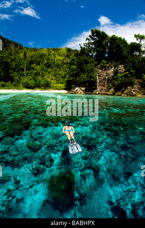 Lo snorkeling in Raja Empat, Papua, Indonesia, femmina subacqueo, bikini, acqua chiara, fondali bassi fotosub, grande visibilità Foto Stock