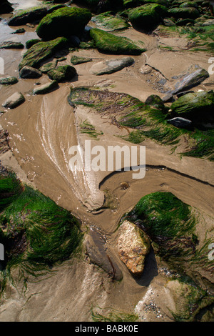 L'acqua che scorre verso il basso beach passato rocce ricoperte di verde muschio di mare Foto Stock