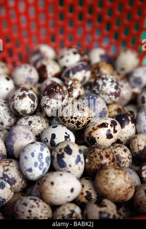 Le uova per la vendita in un mercato asiatico Foto Stock