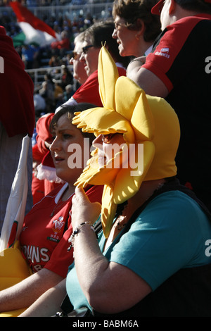 Welsh rugby fan a Roma per il Sei Nazioni di corrispondenza contro Italia 2009 Foto Stock