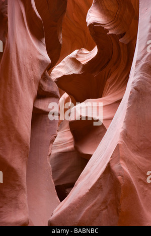 Abbassare Antelope Canyon Slot nella pagina, Arizona, Stati Uniti d'America Foto Stock