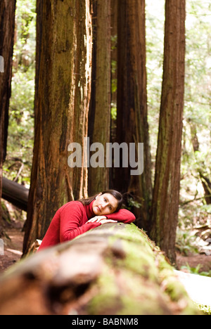 Sequoia Forest in California Foto Stock