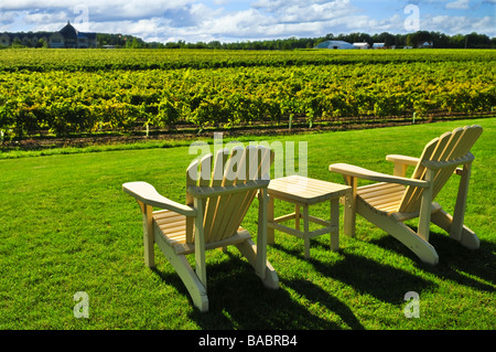 Muskoka sedie e tavolo vicino a vigneto in cantina Foto Stock