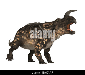 Dinosauro Einiosaurus Foto Stock