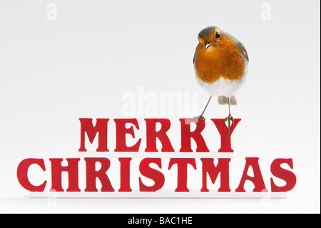 Robin su buon natale lettere Foto Stock