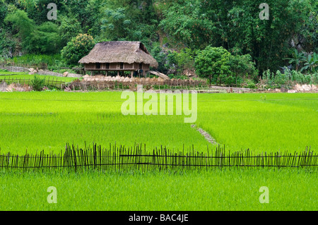 Vietnam Hoa Binh provincia, Ban Ko Muong village di Tay gruppo etnico, casa tradizionale Tay Foto Stock