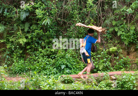 Vietnam Hoa Binh provincia, Ban Ko Muong village di Tay etnici uomo bianco e il suo bambino si ripara dalla pioggia con un palmare Palm Foto Stock