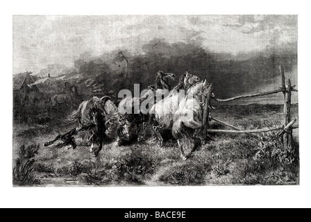 Cavalli in fuga da un incendio da adolphe schreyer francesi e fiamminghi tedesco 1828 1899 Equus caballus ferus Foto Stock