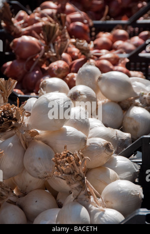 Bianco e le cipolle rosse in vendita nel settimanale mercato alimentare a Umbertide Umbria Foto Stock