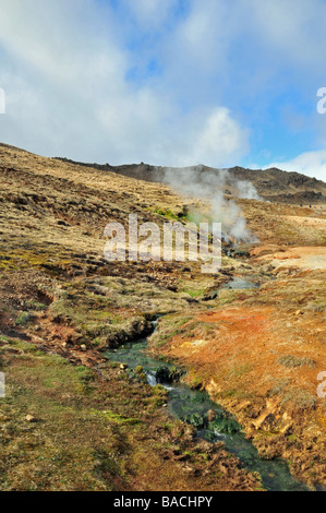 Un ritratto del flusso delle acque, di colore verde, che scorre da sorgenti calde di Reykjadalur, vicino a Hveragerdi, nel sud-ovest dell'Islanda Foto Stock