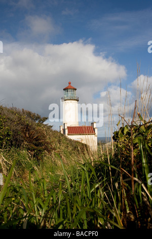 Nord Capo Faro - Cape delusione del Parco Statale di Washington Foto Stock