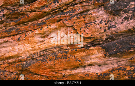 Superficie di roccia del Parco Nazionale di Jasper Alberta Canada Foto Stock