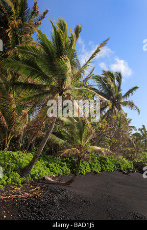 Spiaggia di sabbia nera a Hana Bay sulla costa nordorientale di Maui, nella città di Hana. Foto Stock