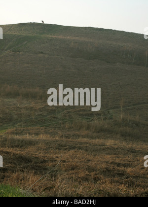 Rudry Caerphilly Sud Galles GB UK 2009 Foto Stock