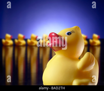 Anatre in una riga e uno Rubber Duck Foto Stock