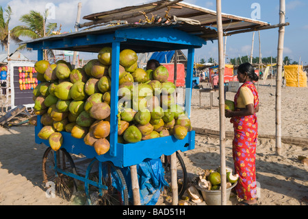 Venditore di cocco Velankanni beach Tamil Nadu India Foto Stock