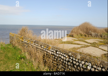 Erosione costiera,North Norfolk vicino Waxham,l'Inghilterra,UK.particolare di un lastricato gardenon ciglio della scogliera che cadono in mare Foto Stock