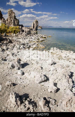 Mono Lago Riserva naturale statale di guglie di tufo e manopole di carbonato di calcio Foto Stock