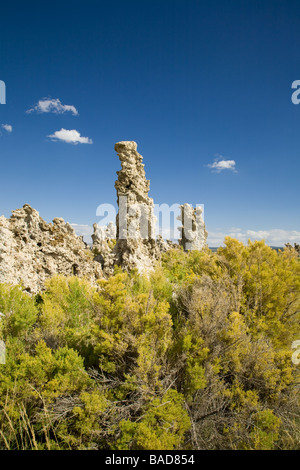 Mono Lago Riserva naturale statale di guglie di tufo e manopole di carbonato di calcio Foto Stock