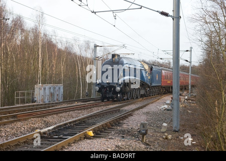 Vapore LNER locomaotive classe A4 60007 'Sir Nigel Gresley' passando attraverso Potteric Carr Riserva Naturale Foto Stock