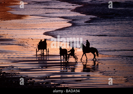 Francia, Cotes d'Armor, Sable d'Or Les Pins, zampetto sulla spiaggia Foto Stock