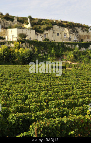 Domaine Filliatreau vigneto nella Valle della Loira in Francia Foto Stock