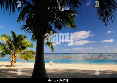 Palme e sdraio in spiaggia, Paradise Cove, Aitutaki, Isole Cook Foto Stock
